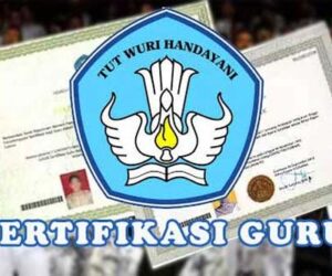 sertifikasi guru