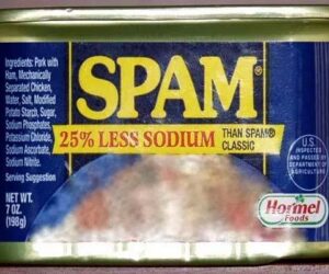 spam asli